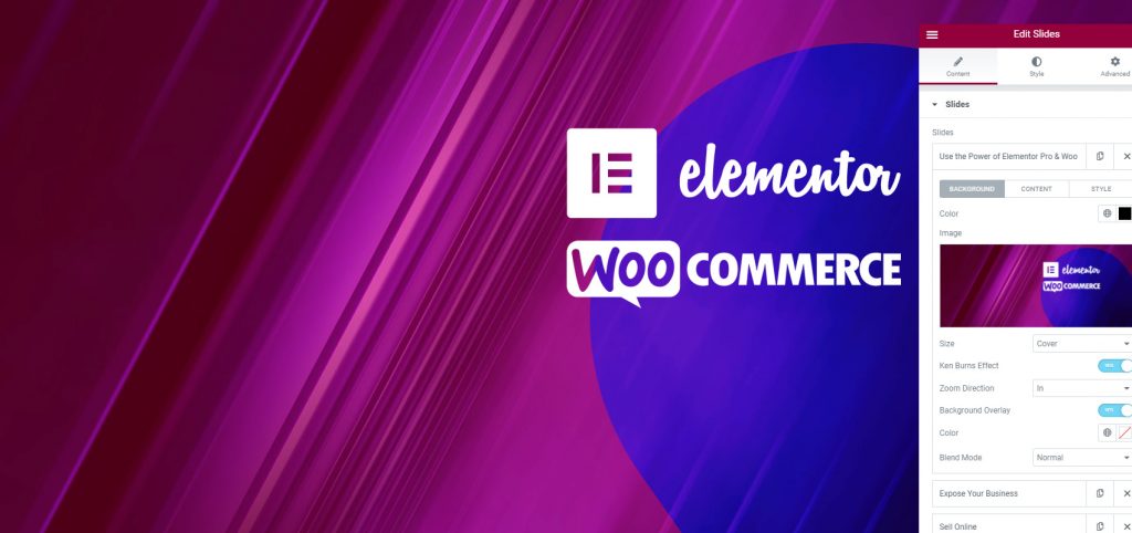 elemetor woo bg 1