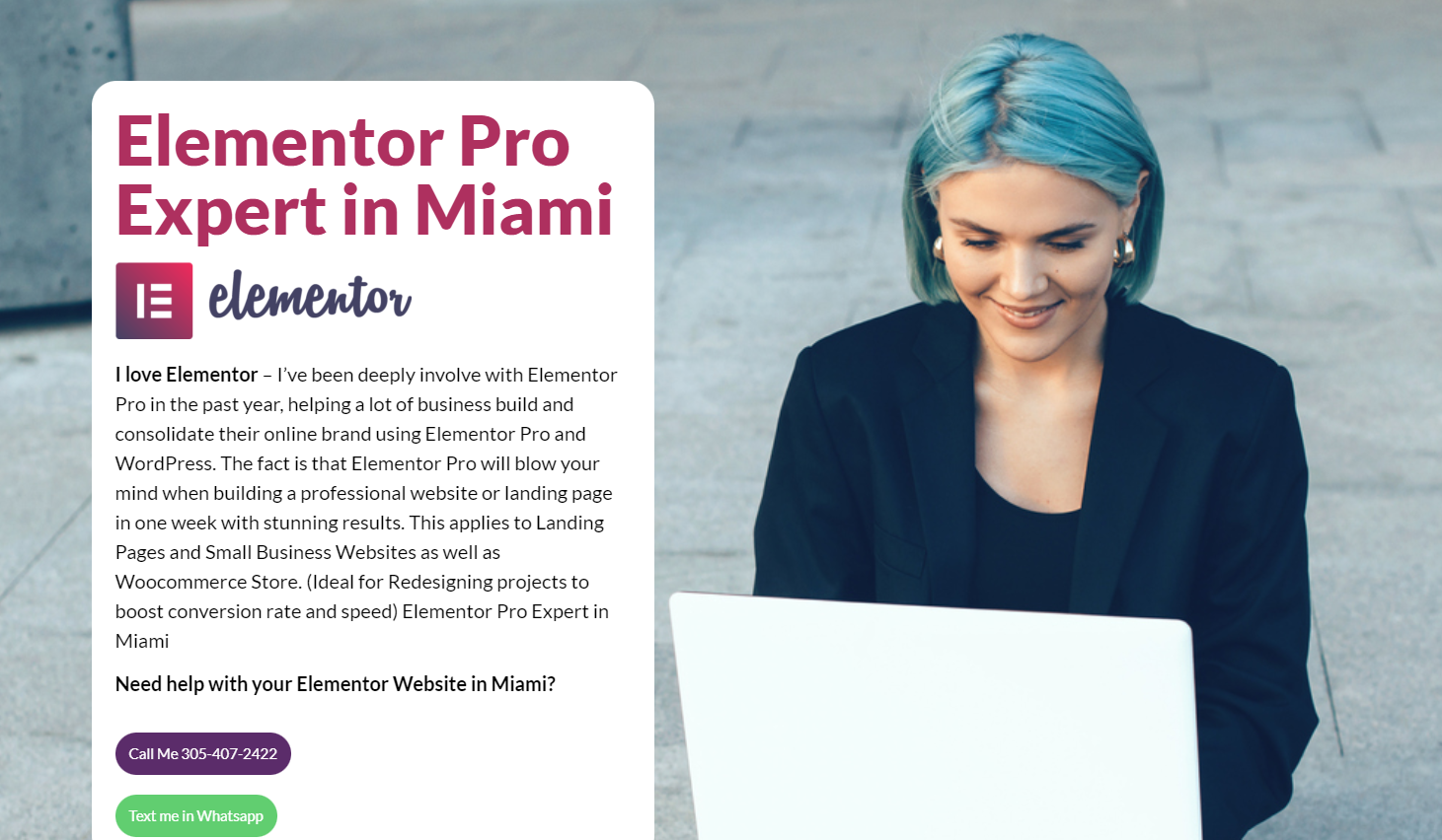 Snip Elementor Pro Expert in Miami Wordpress Guru Web Marketing Google Chrome